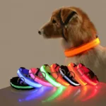 LED Dog Collars Light Adjustable Flashing Luminous Collar Night Anti-Lost